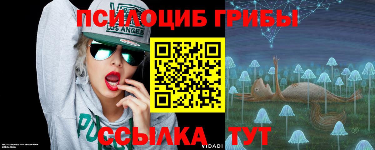 Псилоцибиновые грибы Psilocybine cubensis Шатура